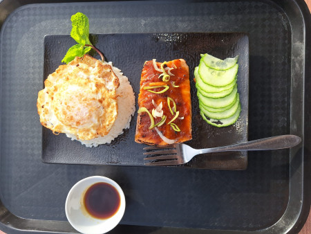 Assiette riz samon